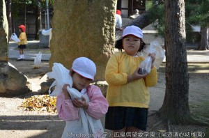 akinosansaku_20121115-008