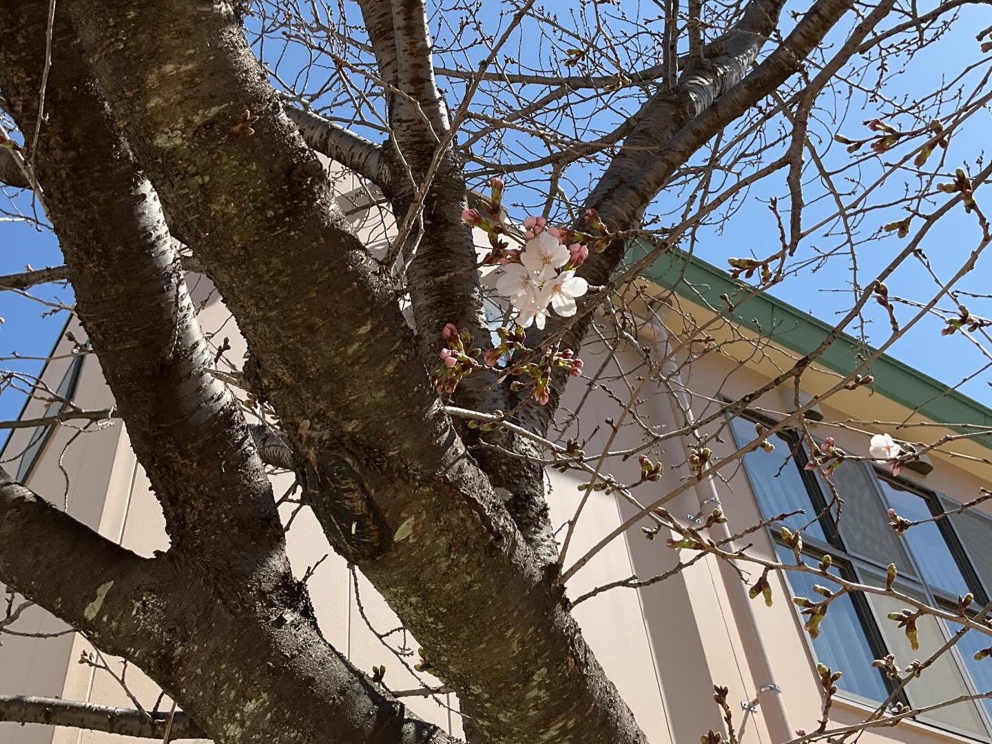 スライドショー