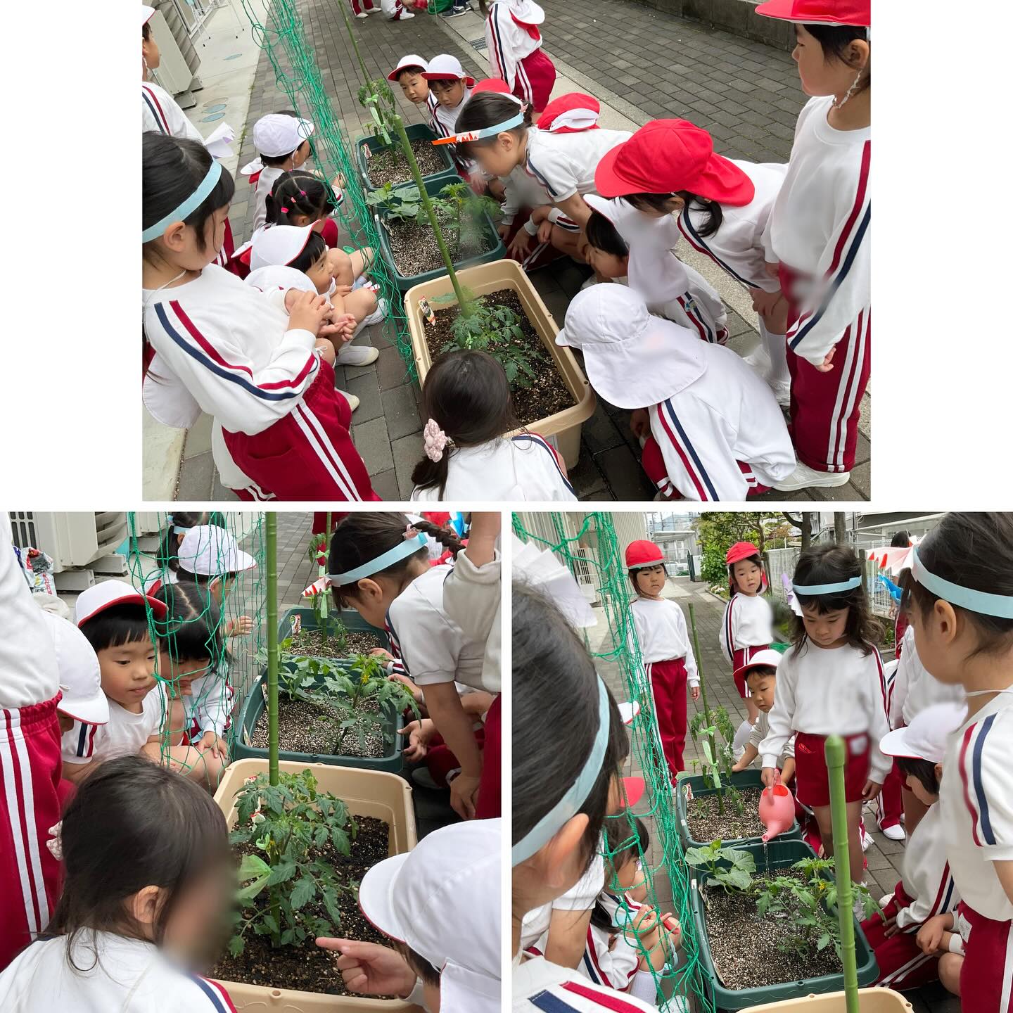 スライドショー