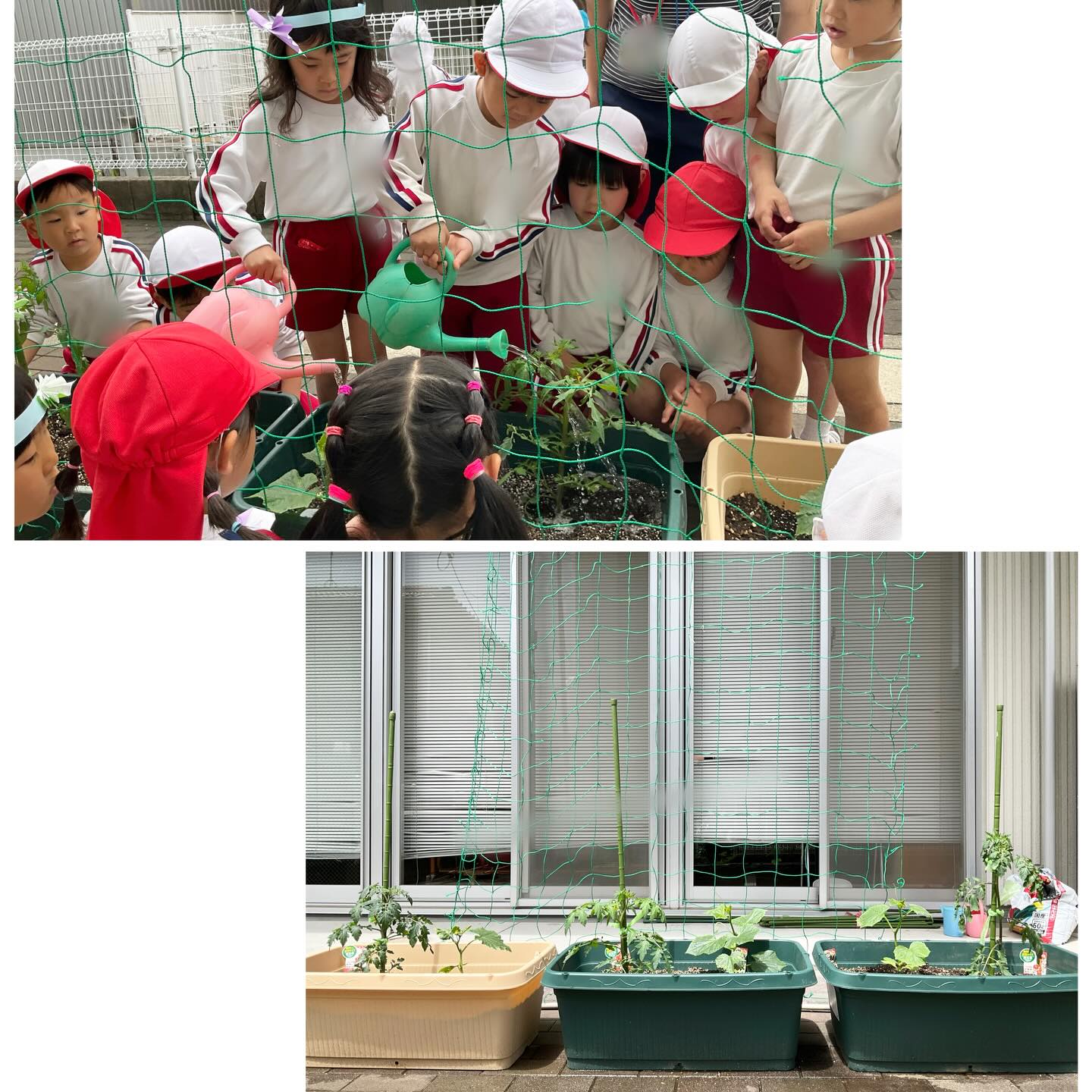 スライドショー