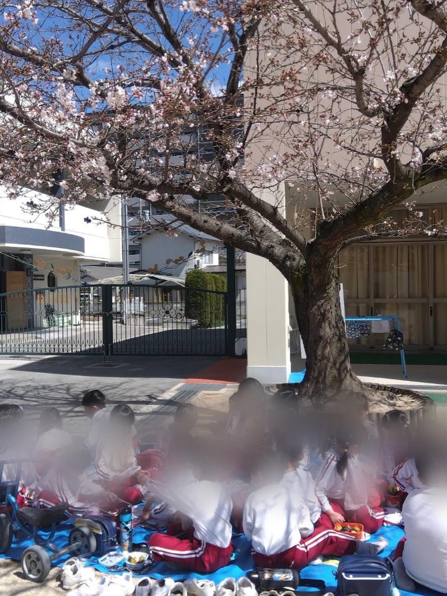 スライドショー