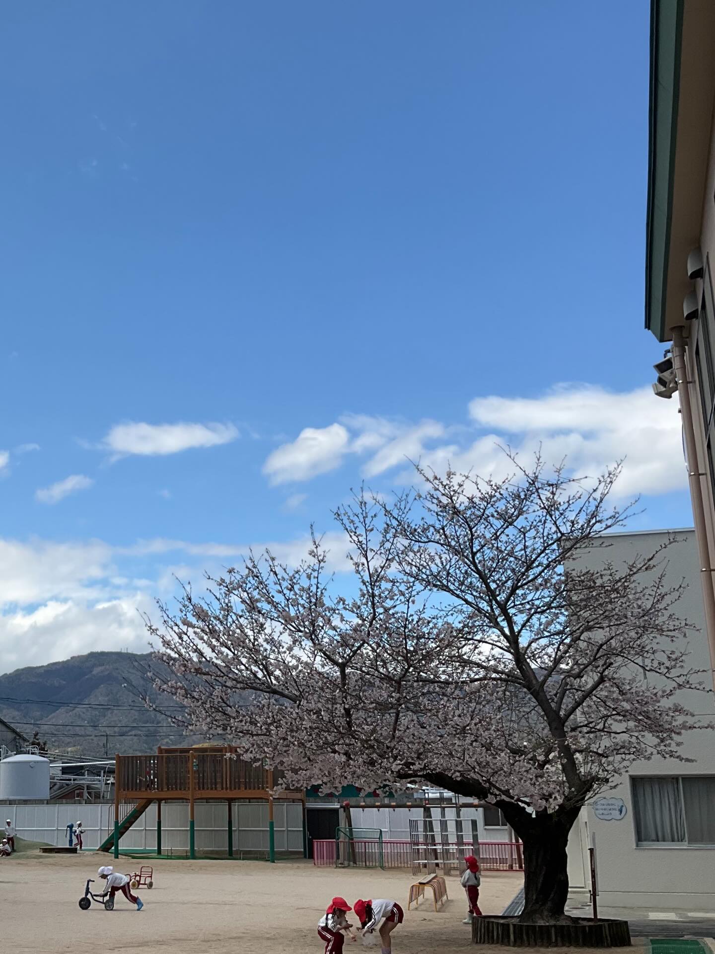 スライドショー