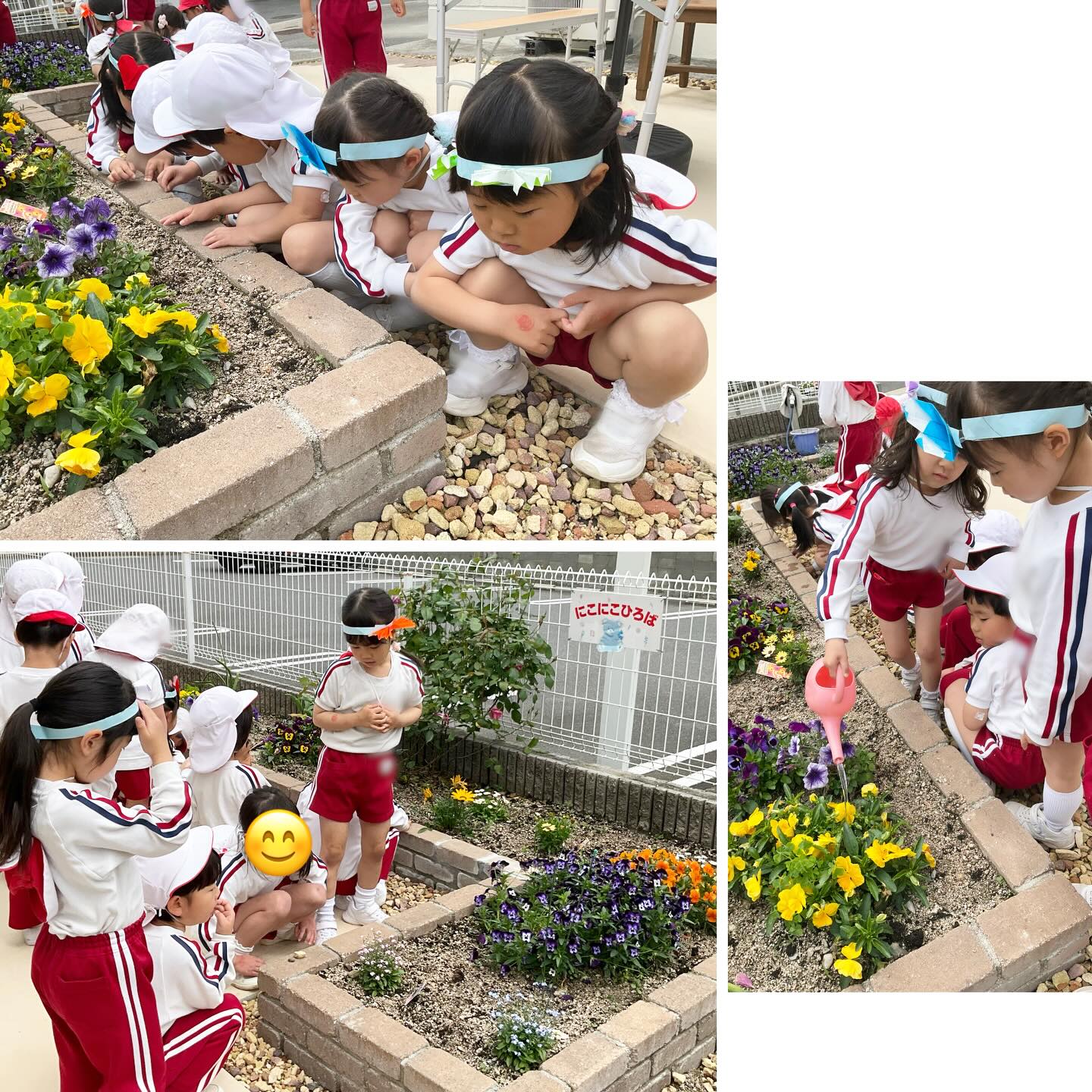 スライドショー