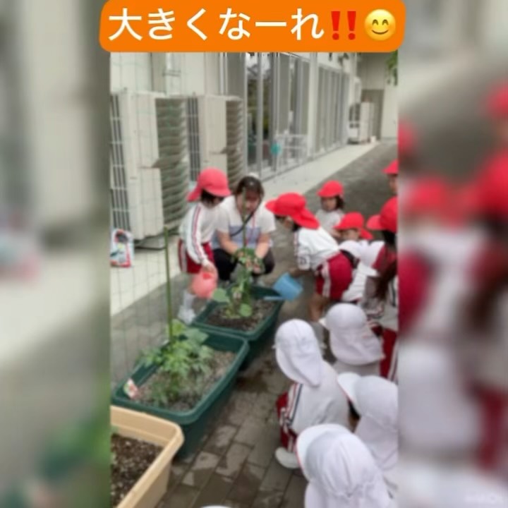 スライドショー