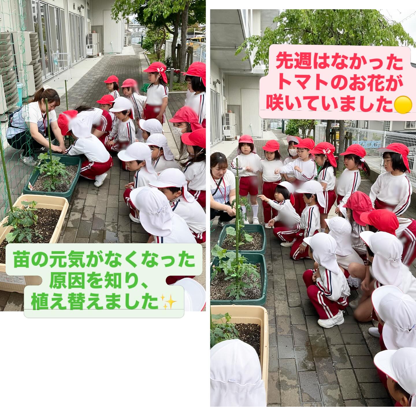 スライドショー