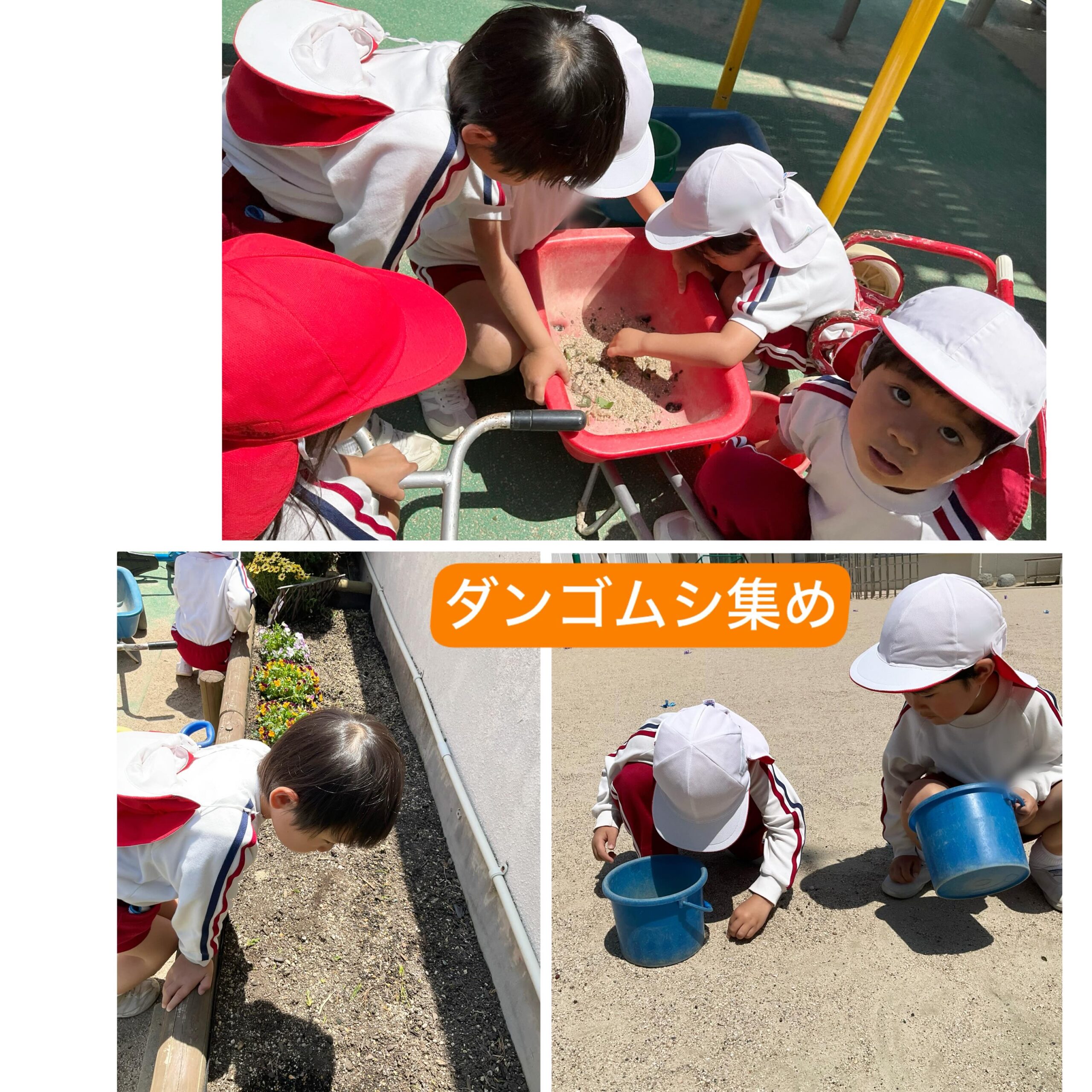 スライドショー