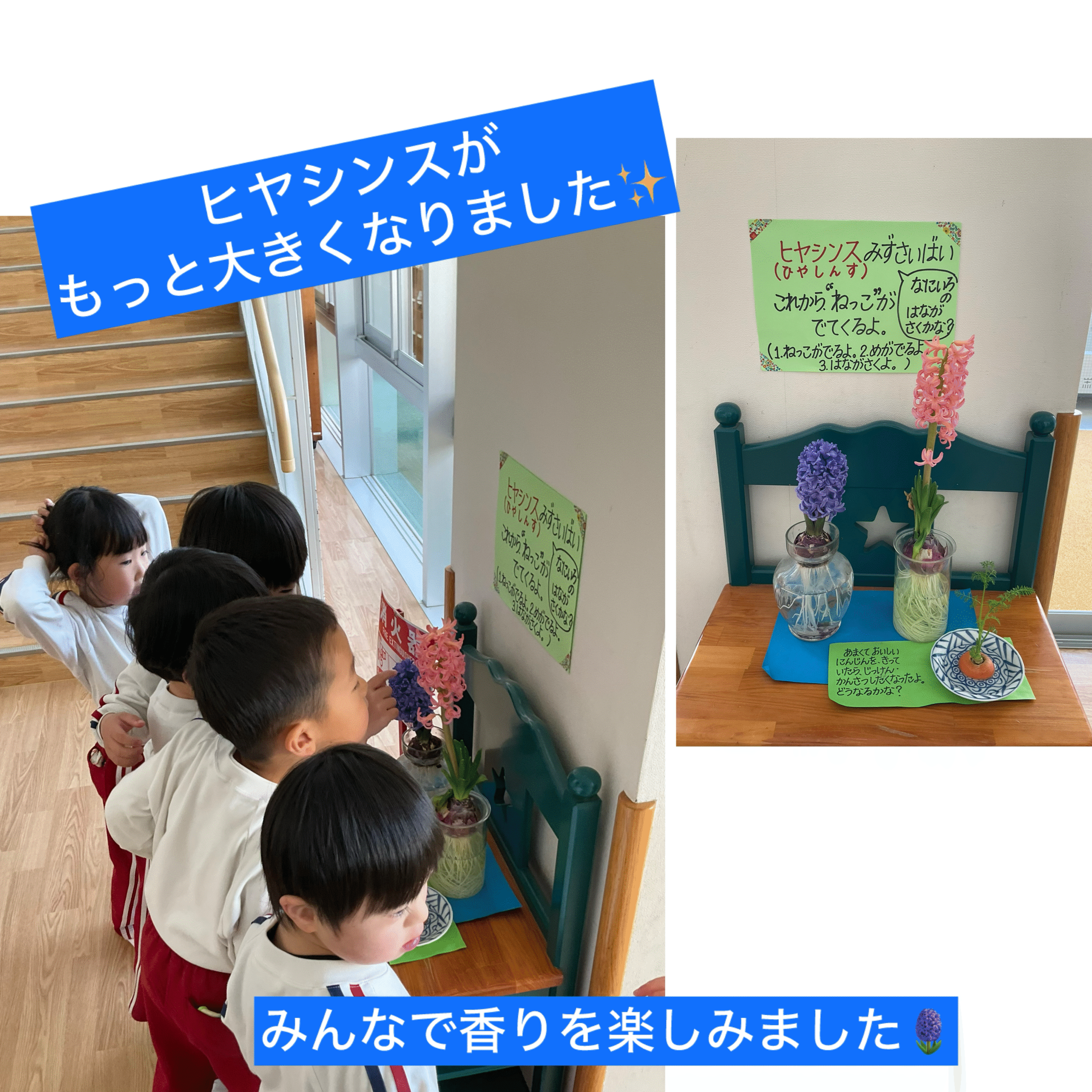 スライドショー