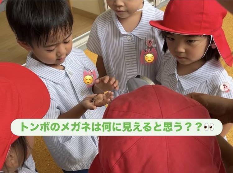スライドショー