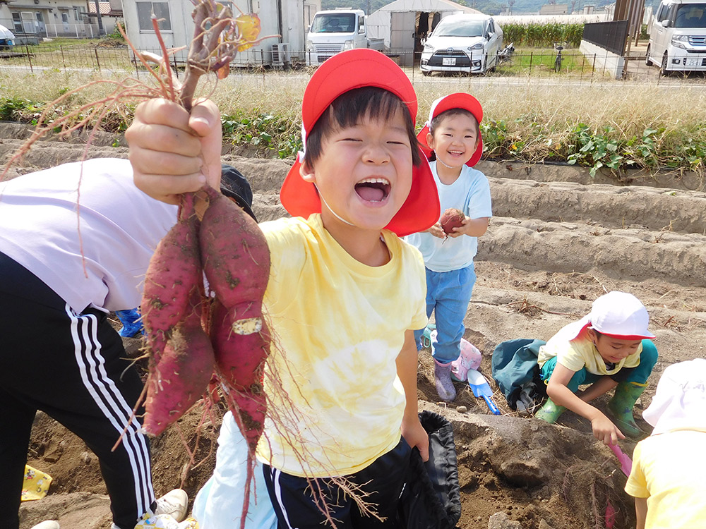 芋掘り遠足