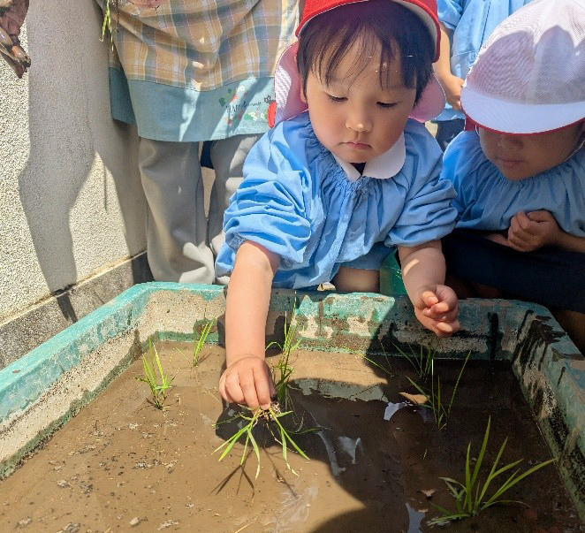 自然との触れあいと生命の学び