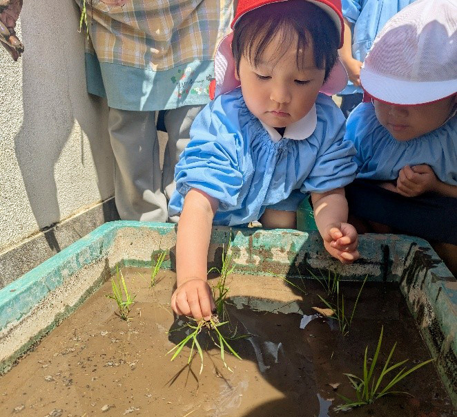 自然との触れあいと生命の学び